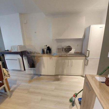 Residence Les Hortensias L4 Bourbonne-les-Bains Zewnętrze zdjęcie